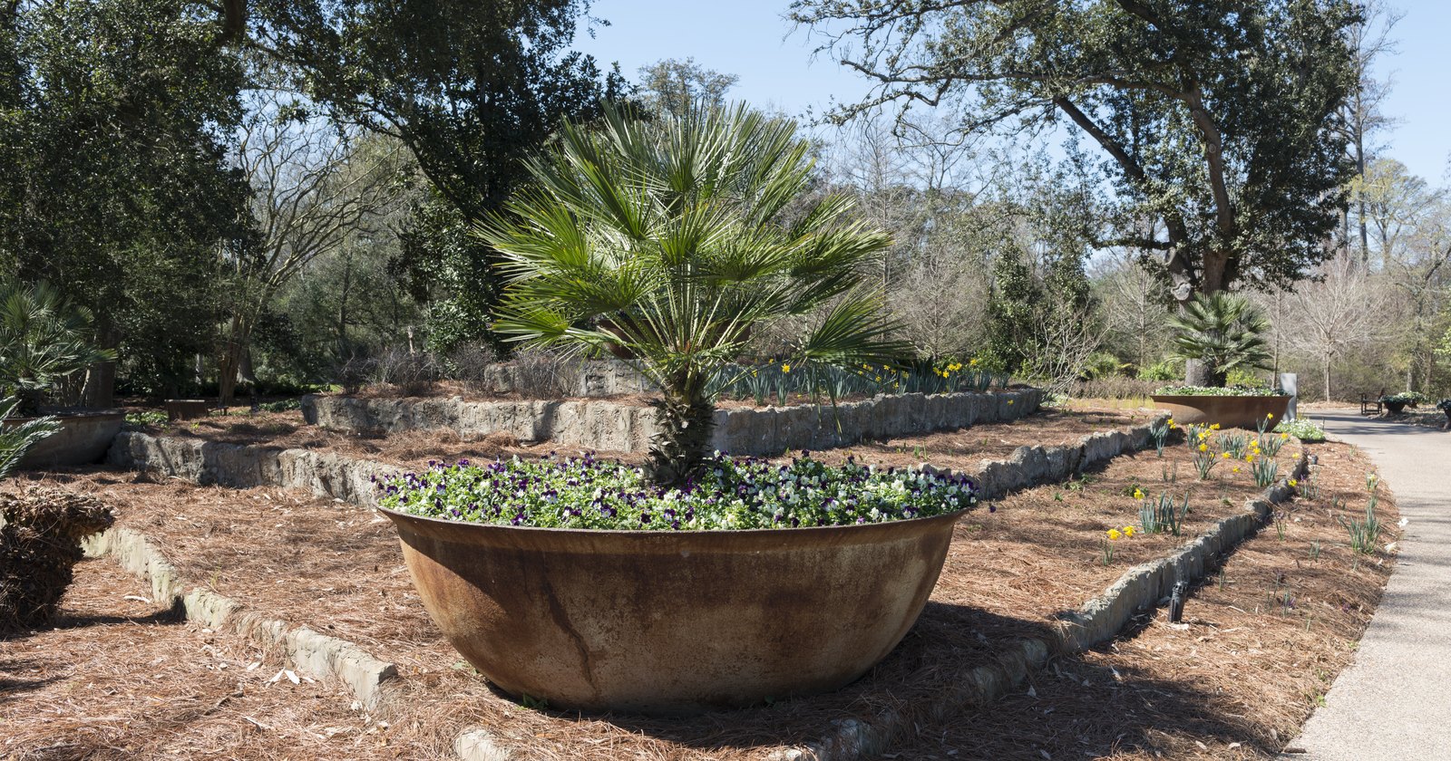 Shangri La Botanical Gardens and Nature Center in Orange, Texas, a 252-acre garden and nature preserve that is free to enter